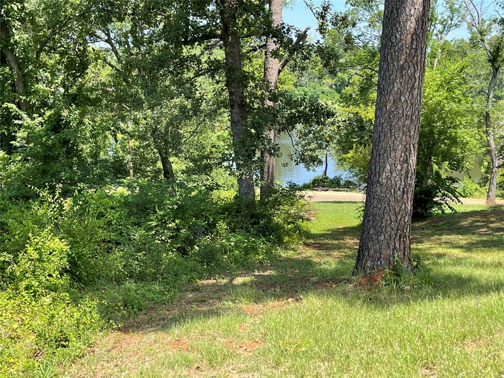 a view of a garden from a lake view