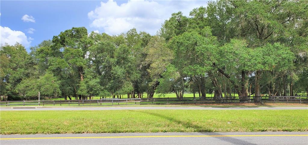 a view of a park