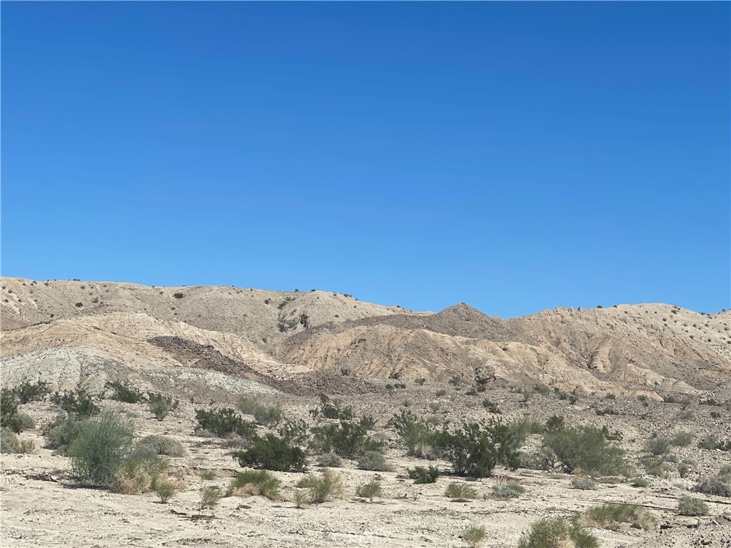 a view of a dry yard