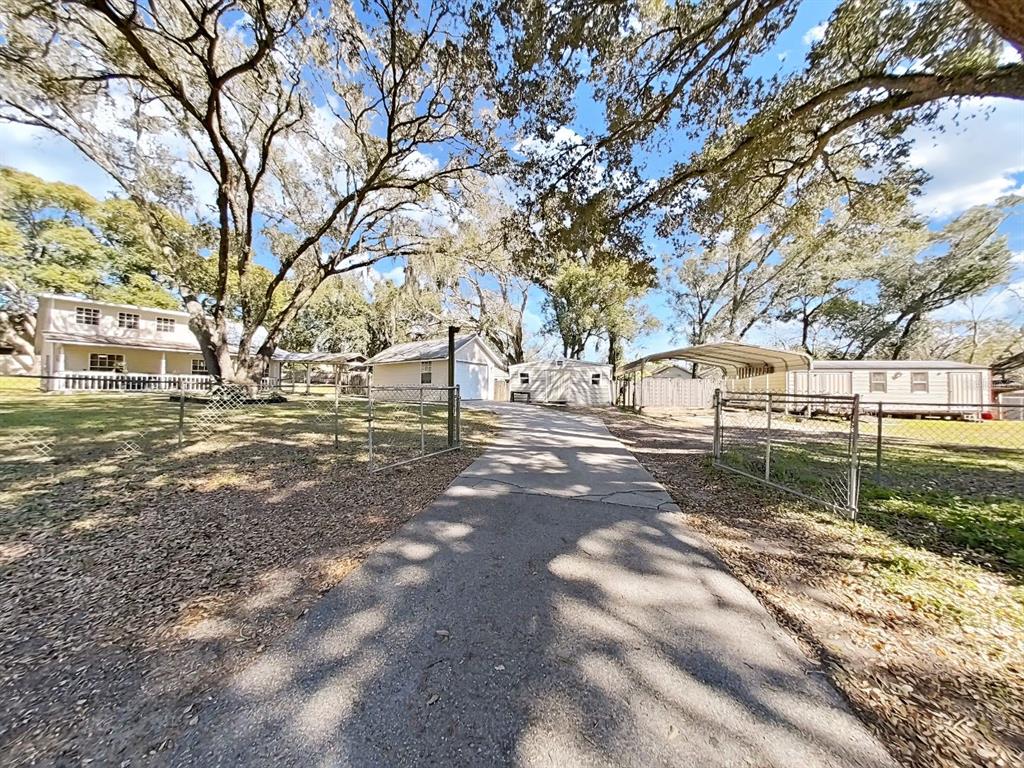 a view of road with large trees