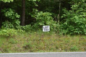 $35,100 | Lot 103 Halfmoon Shores Drive