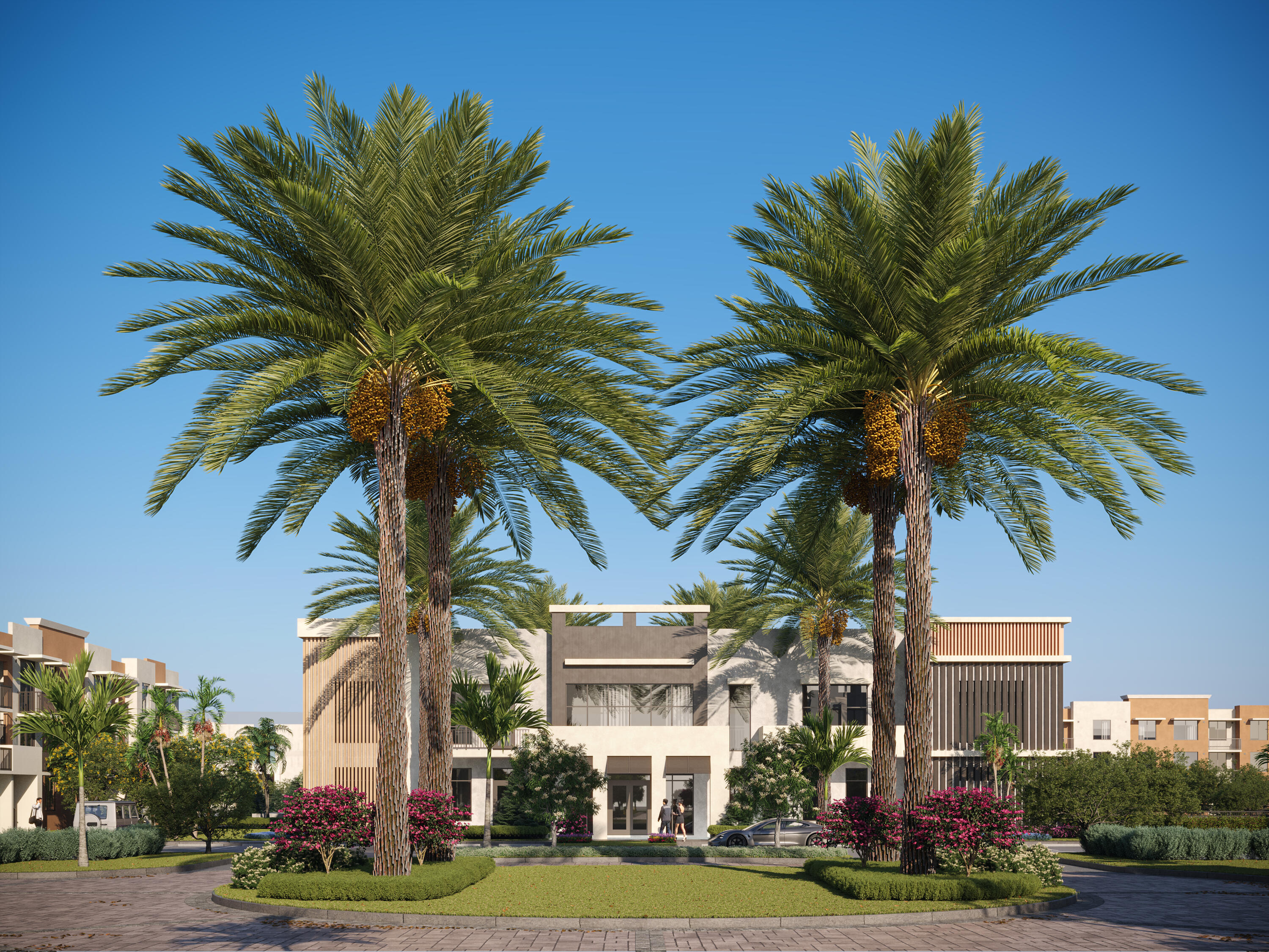 a view of a palm trees in front of a house