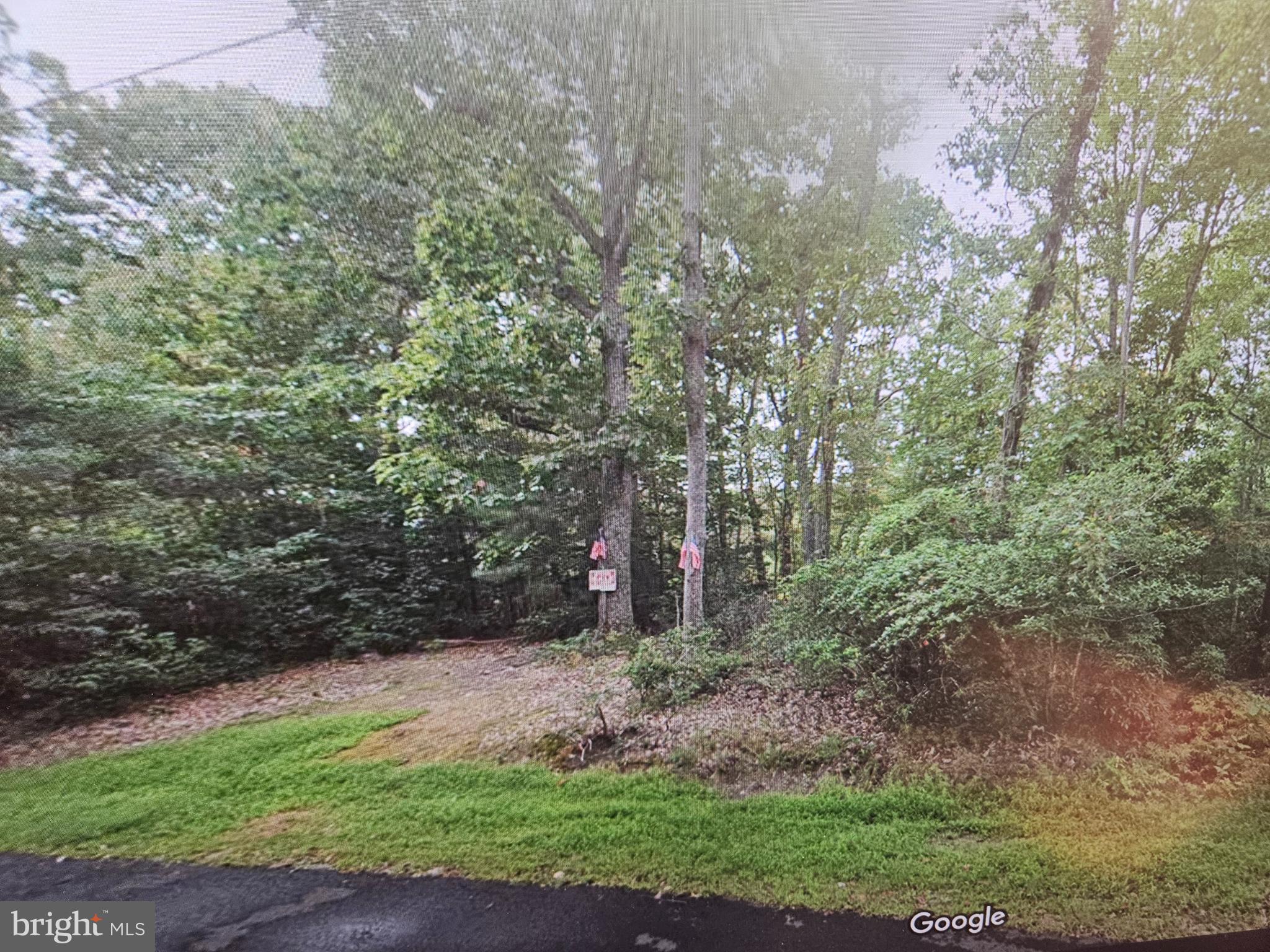 a view of a yard with a trees