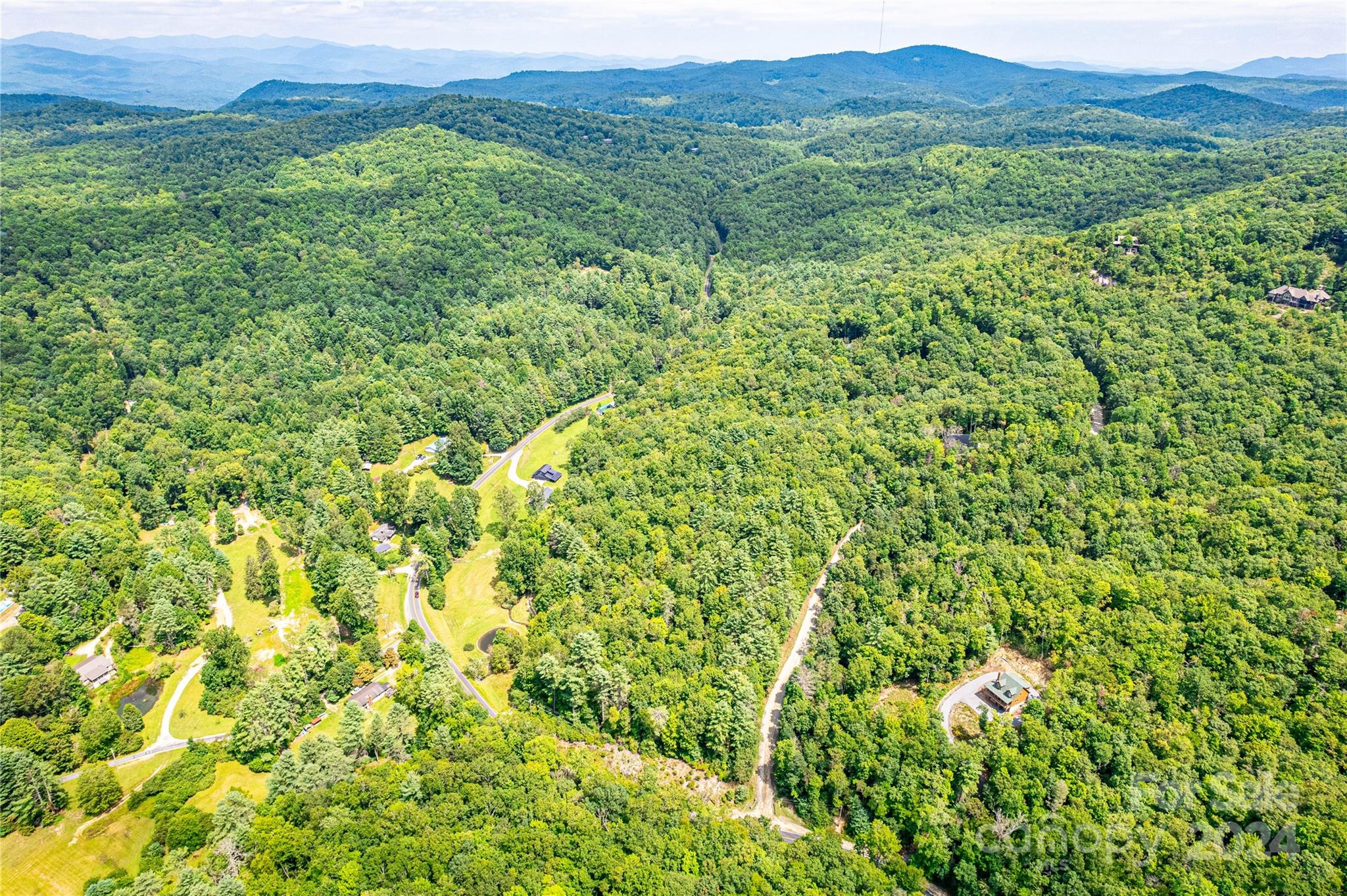 a view of a lush green forest with trees and some houses