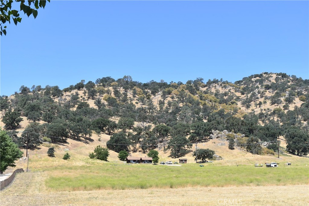 a view of a yard with a tree