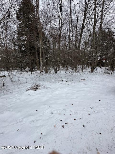 a view of dirt yard with large trees