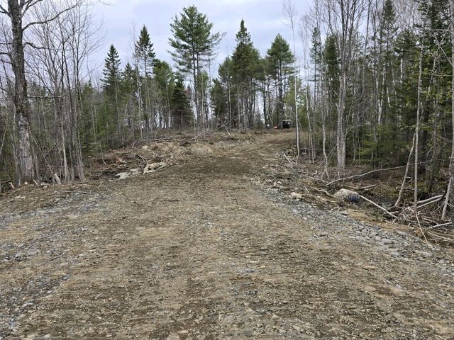 $59,900 | Lot 4 County Road | New Limerick