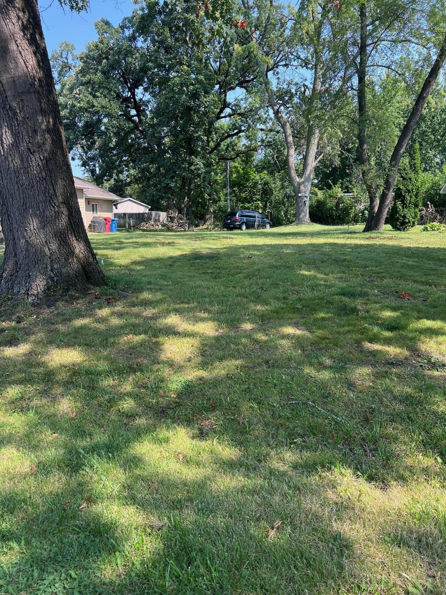 a view of a trees with a big yard