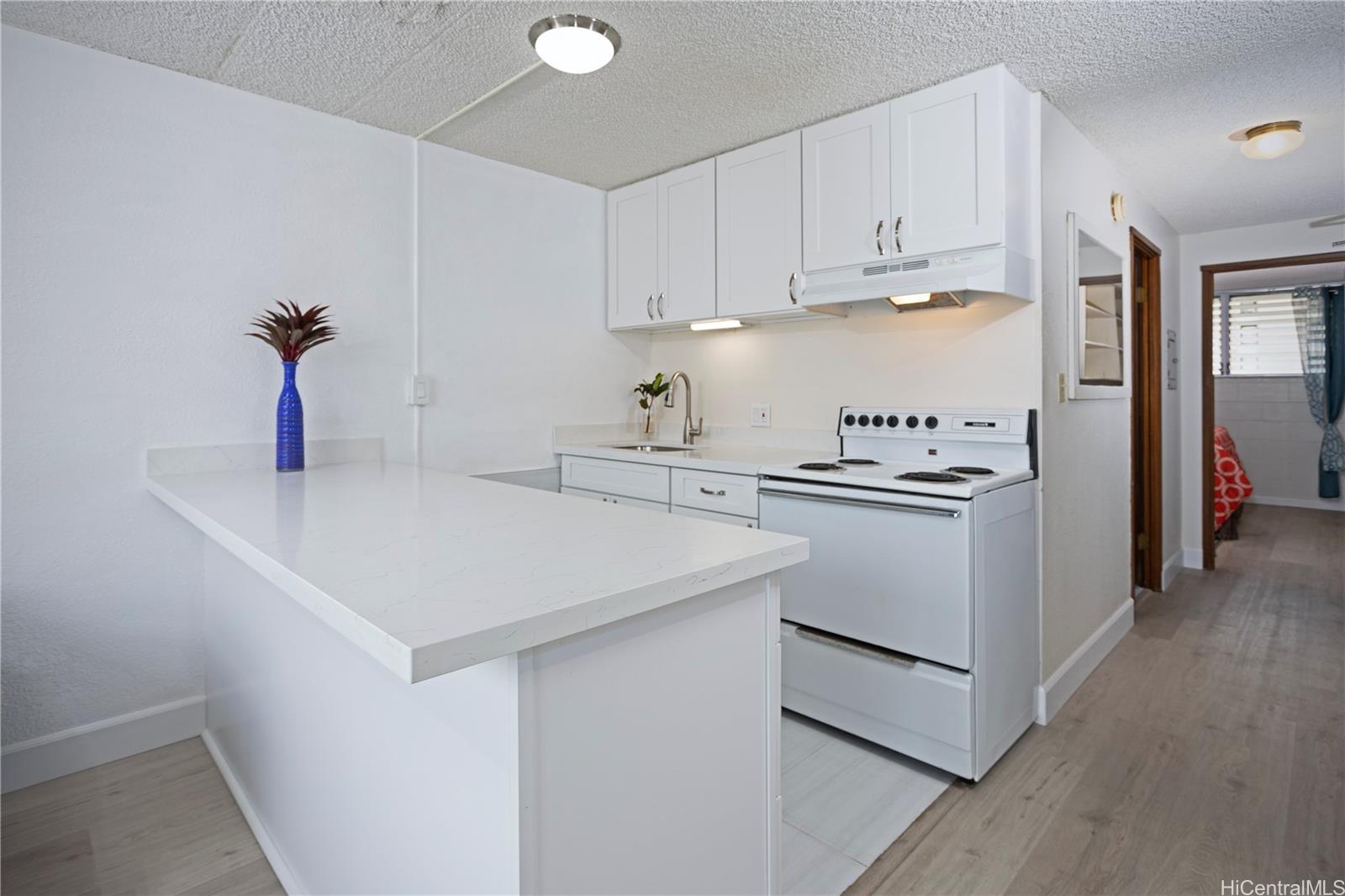 Brand new custom kitchen with quartz counters and solid wood cabinets