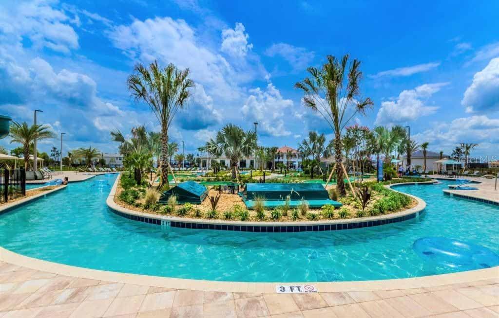 a view of a backyard with plants and palm trees