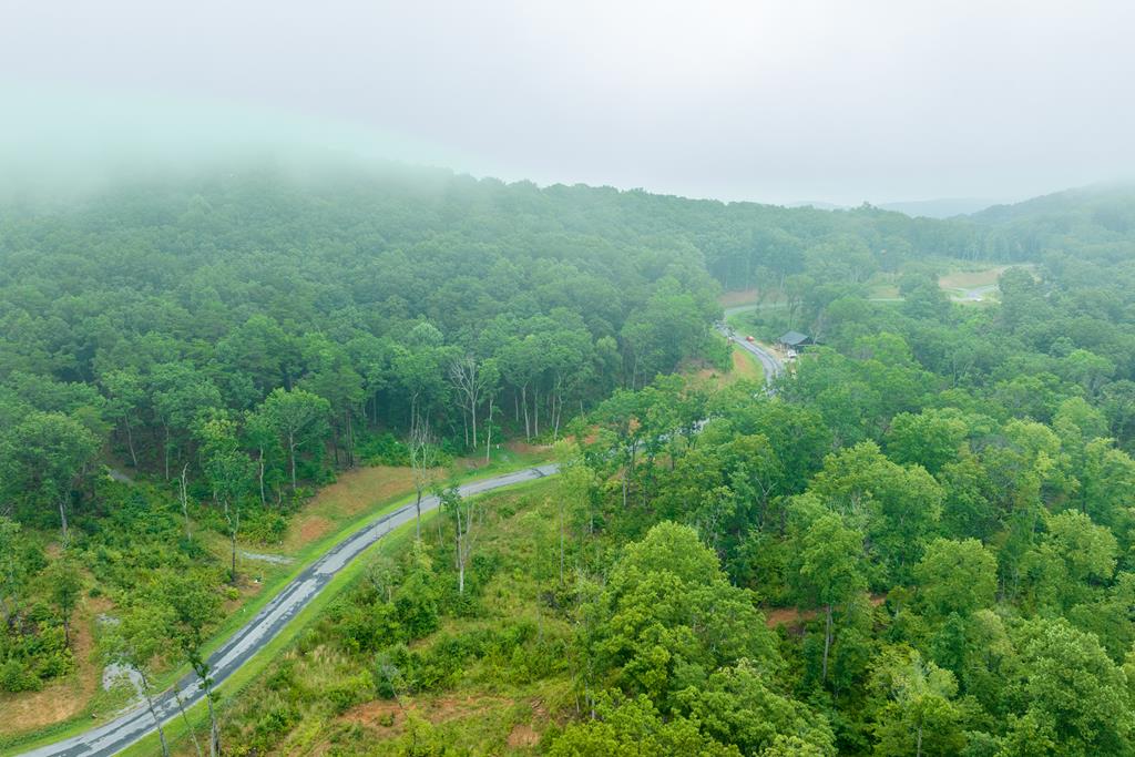 a view of a green field with lots of bushes