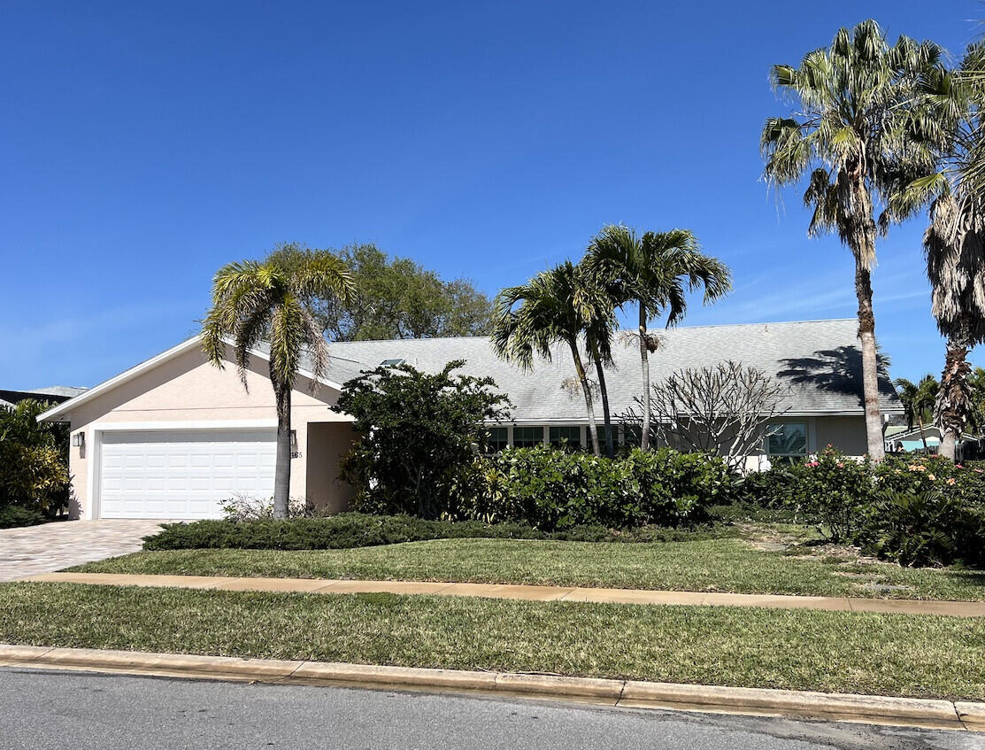 a palm tree sitting in front of a house with a yard