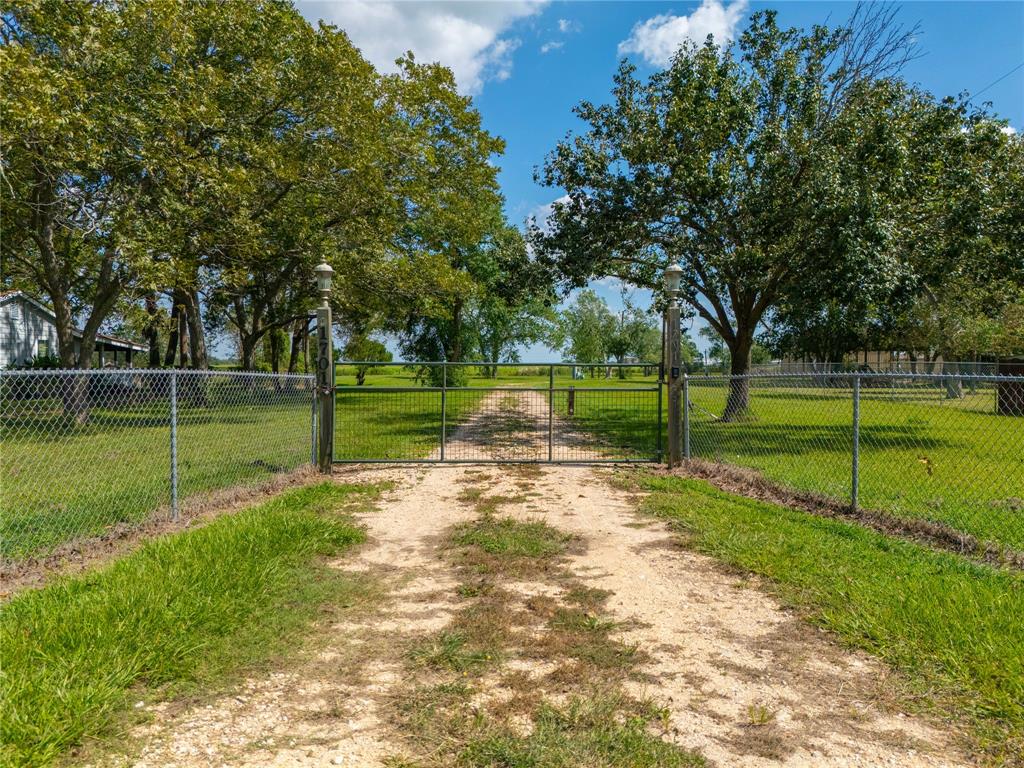 a view of a park with tree s