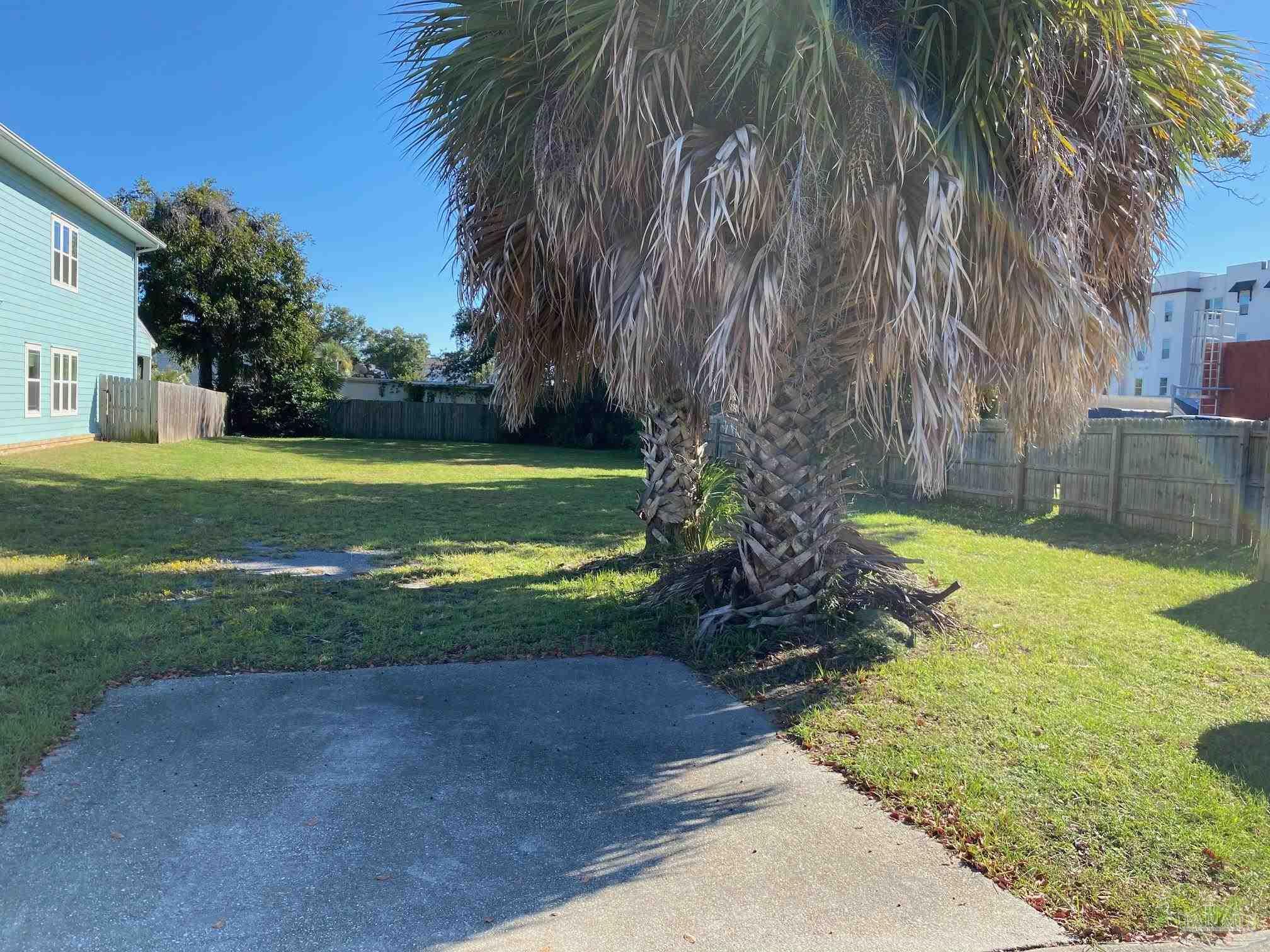 a view of a yard with palm trees