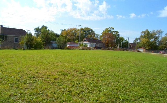 a view of a field with plants in front of it