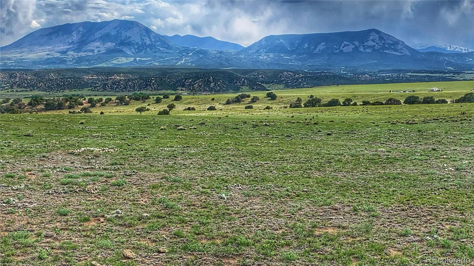 a view of a field with an ocean