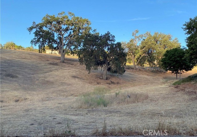 a view of dirt field with large trees