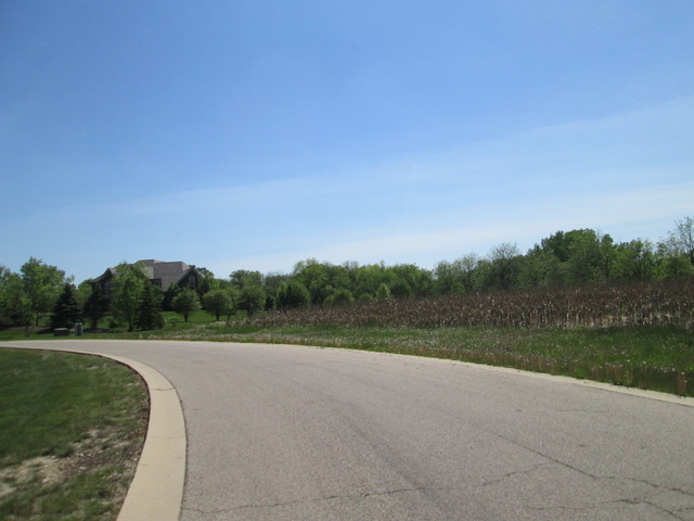 a view of a lush green field