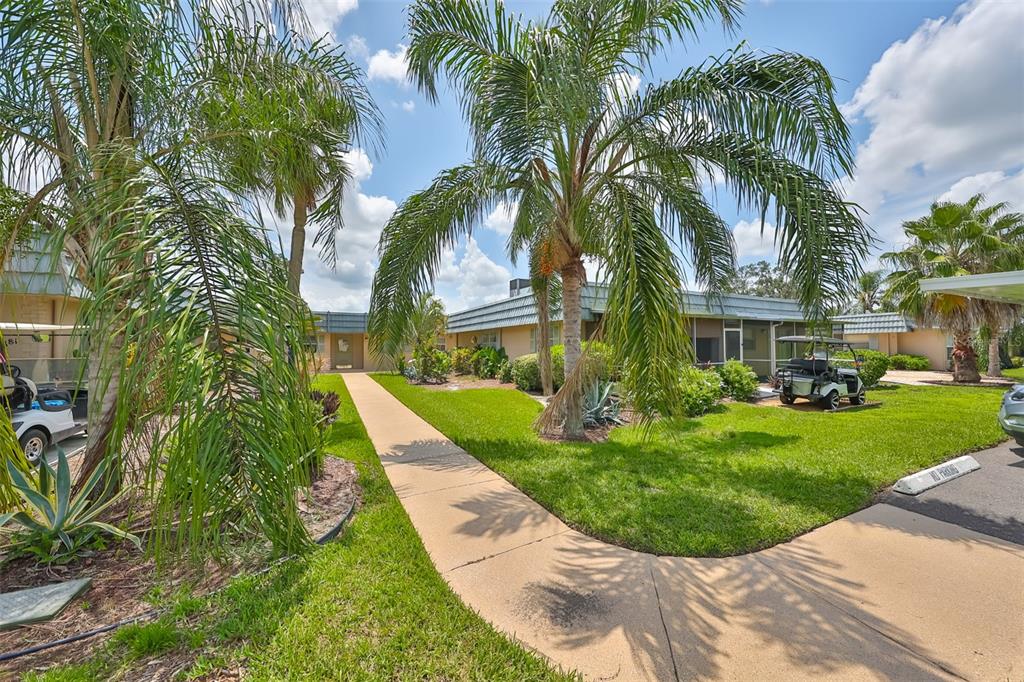 a view of a yard in front of a house