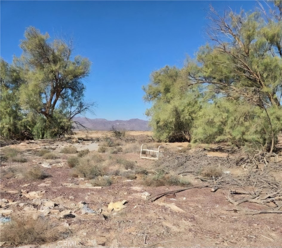 a view of a dry yard