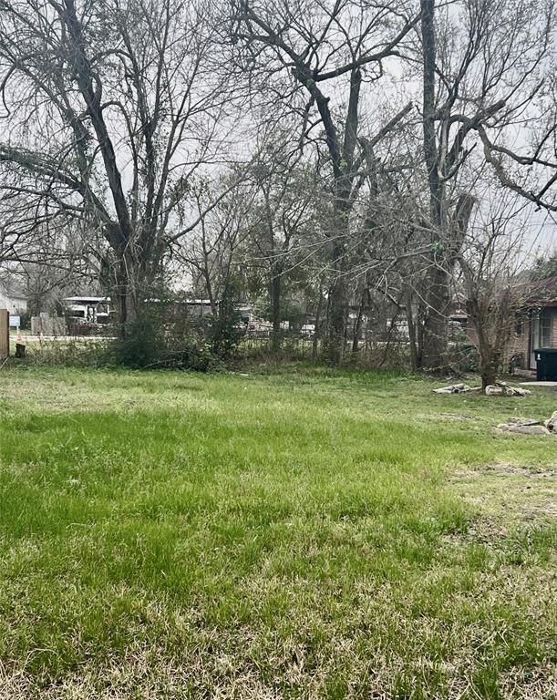 a view of a yard with a tree