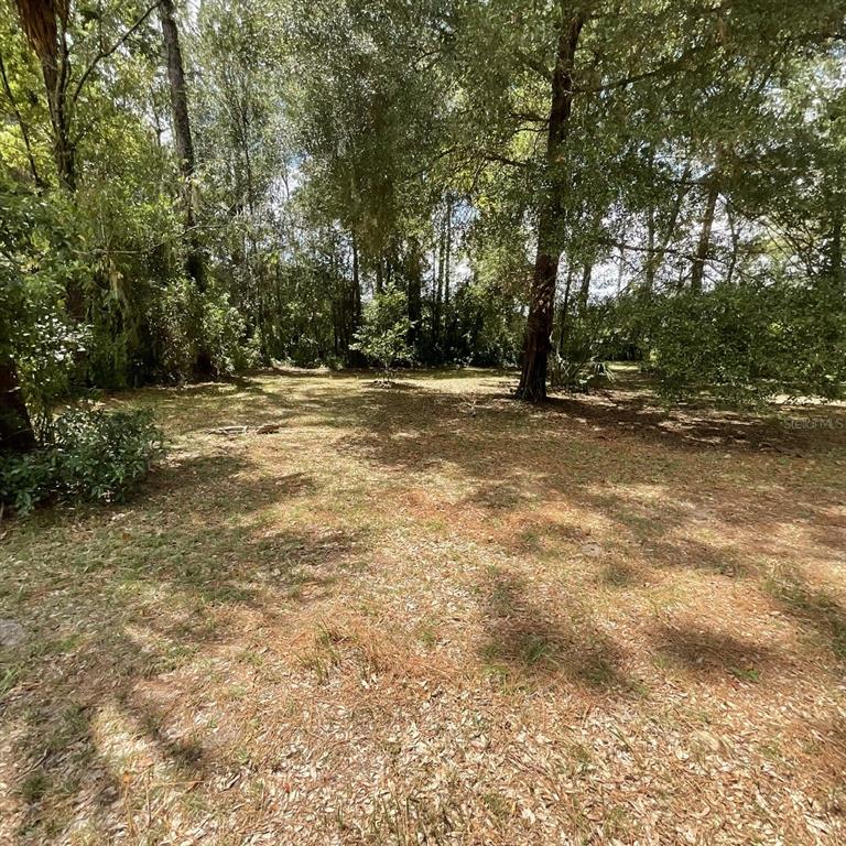 a view of a yard with a trees