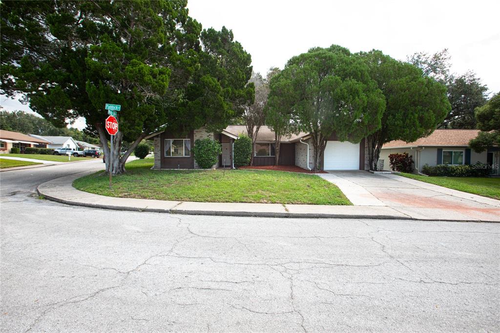 a view of a house with entertaining space and a tree