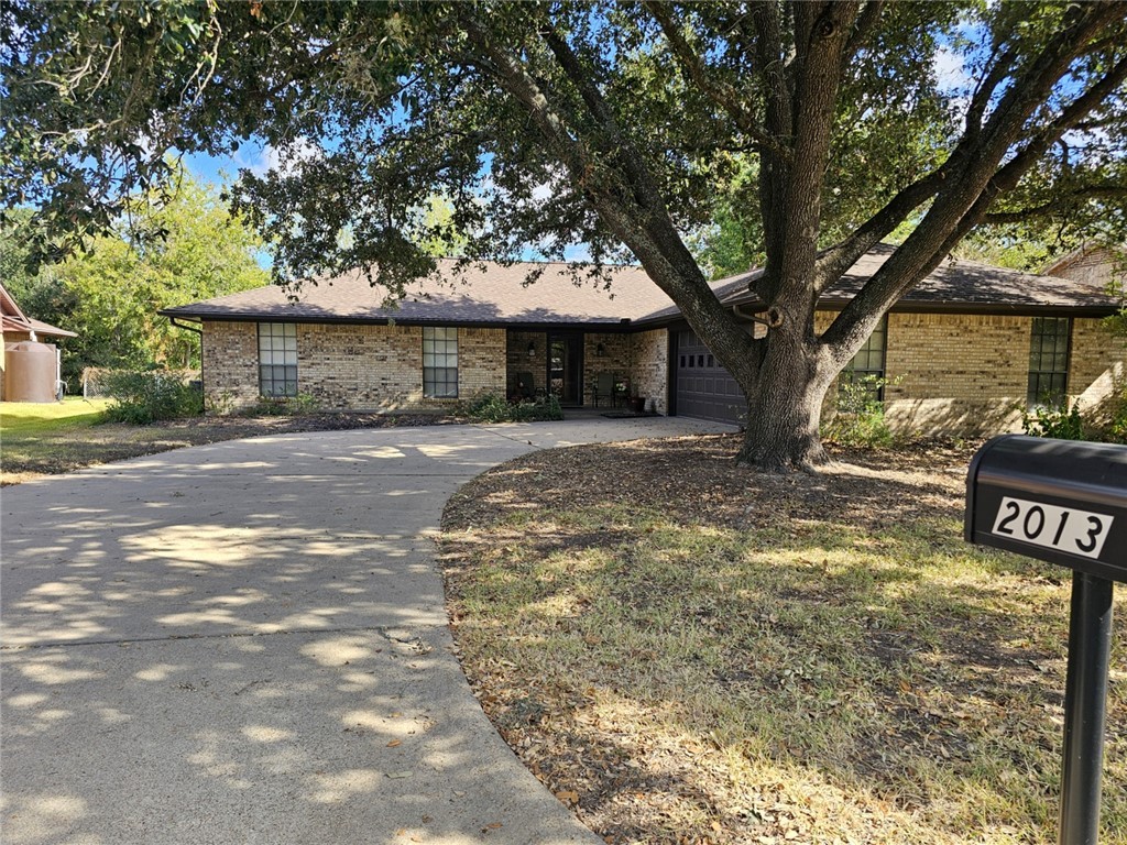 a view of a trees in a yard with large trees