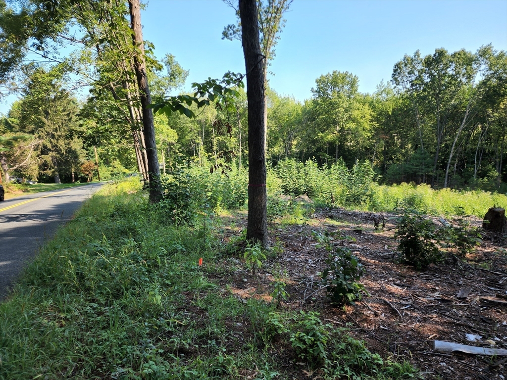 a view of backyard with green space