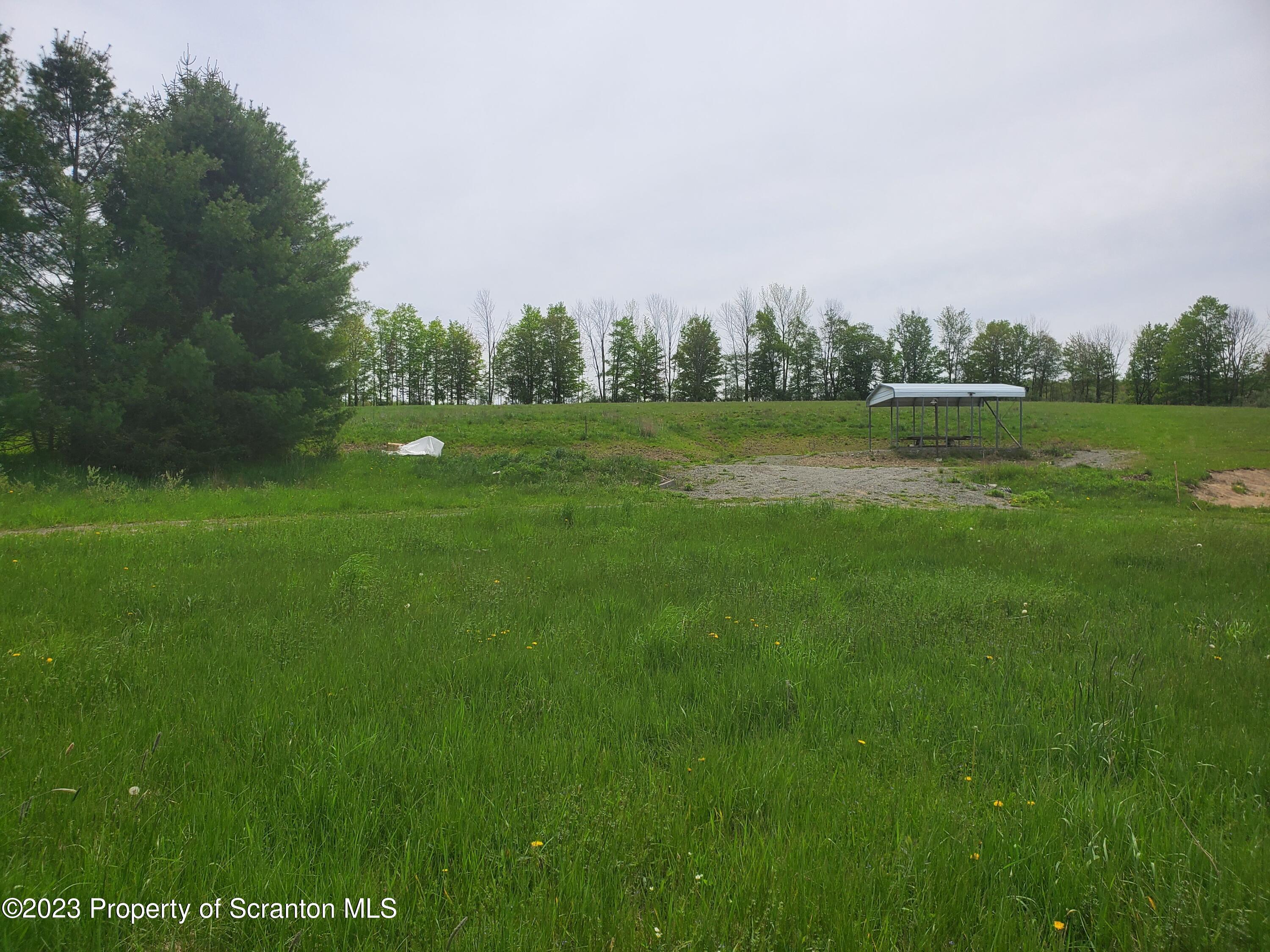 a view of a green field with trees in the background