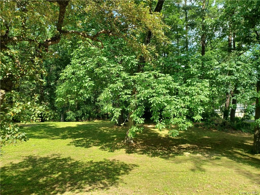 a view of outdoor space with deck and yard