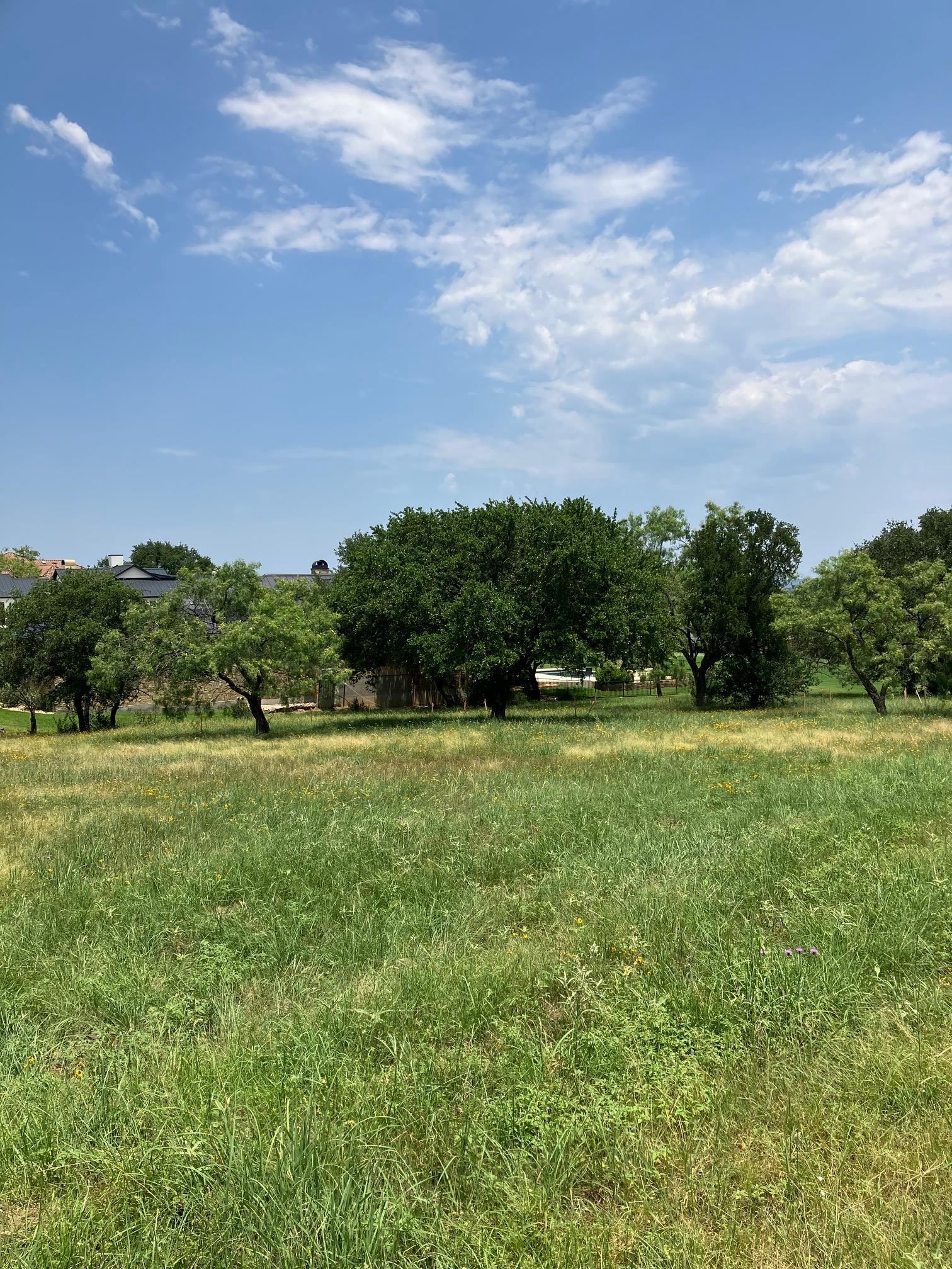 a view of an outdoor space and a yard