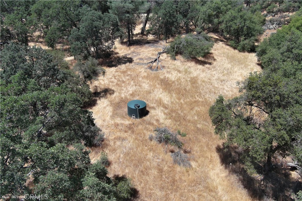 a view of outdoor space with trees all around