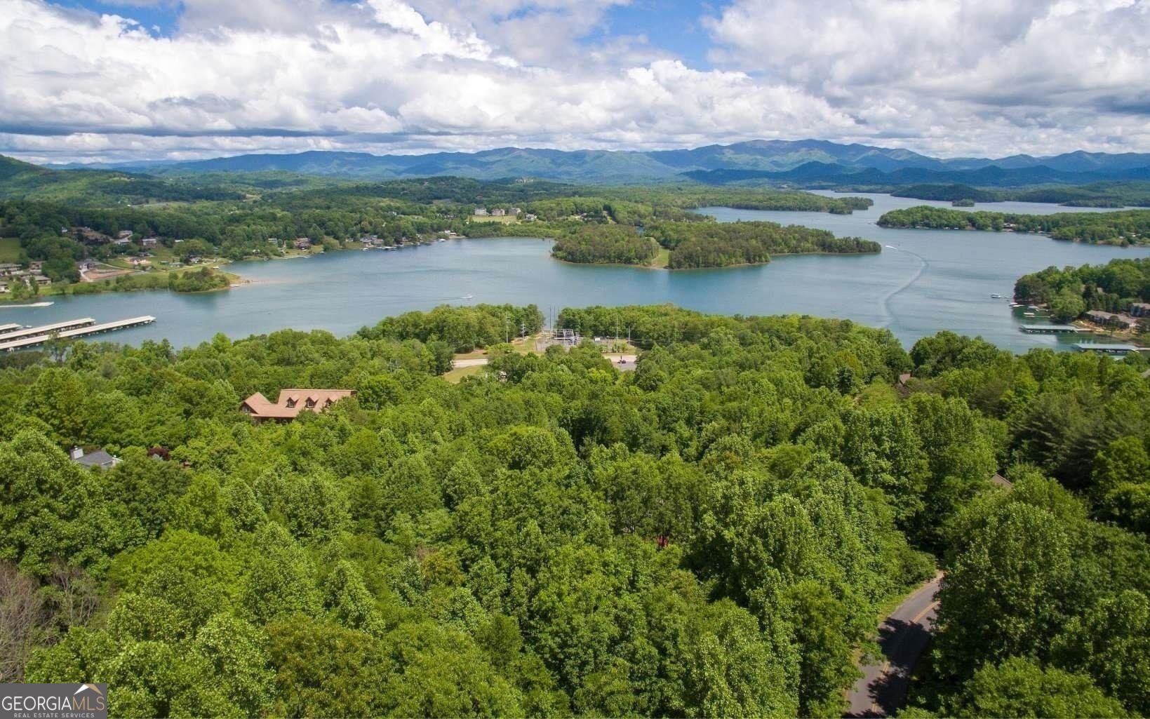 a view of a lake with houses in the back