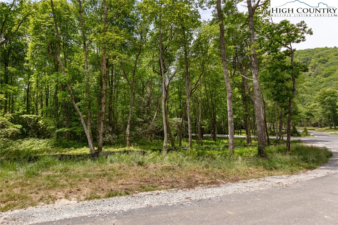 a view of outdoor space with trees all around