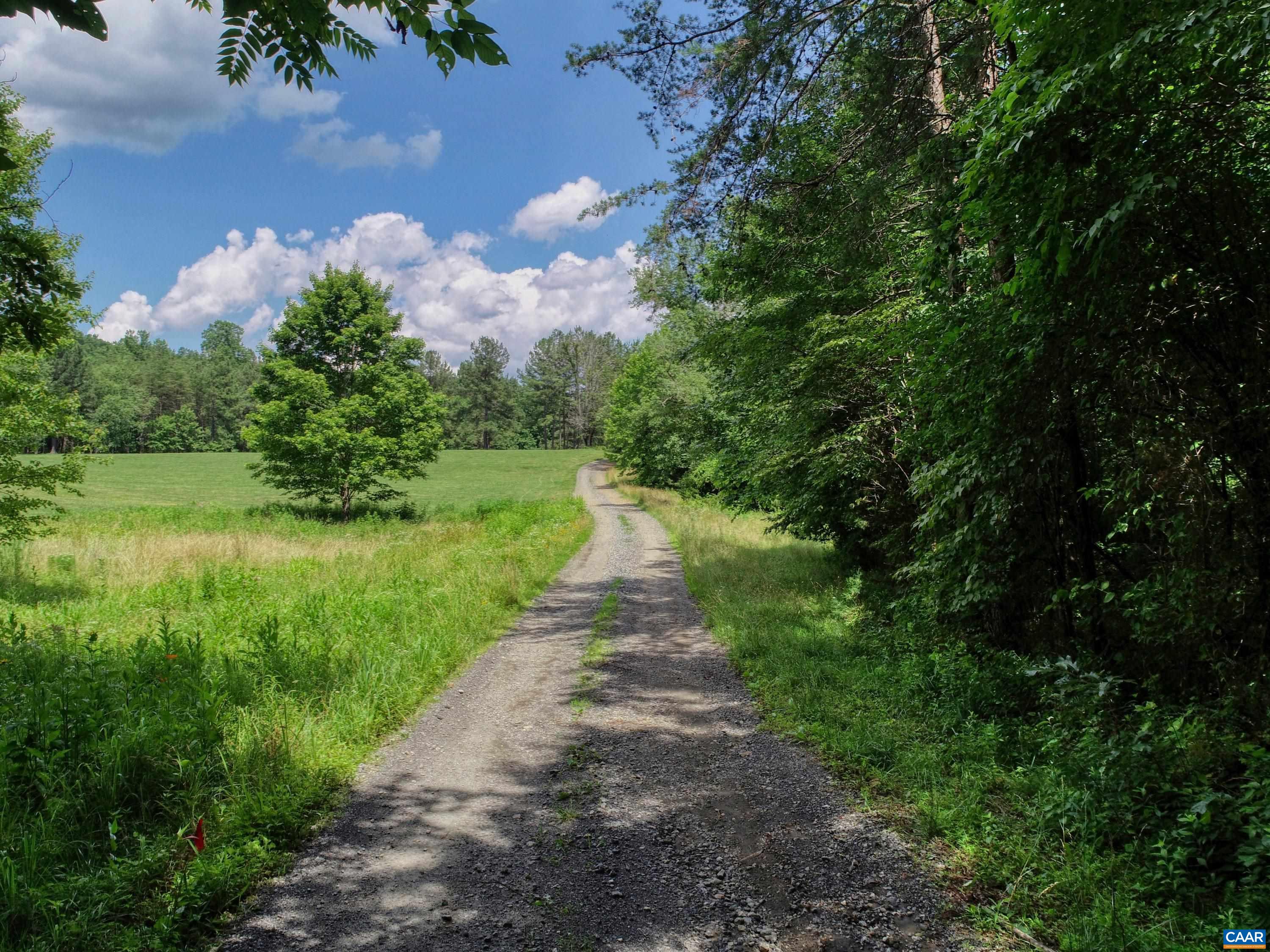 a view of a pathway both side of yard