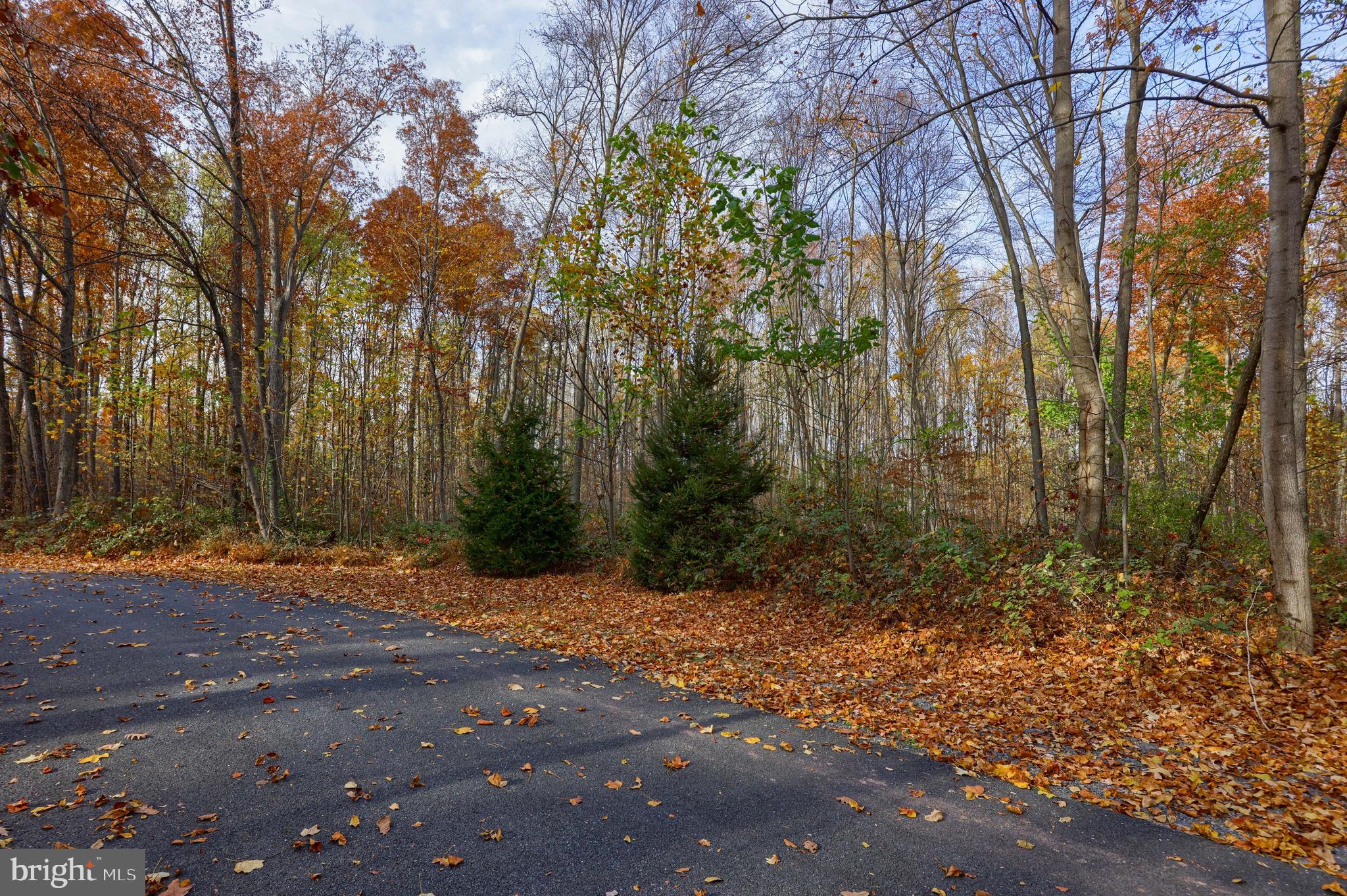 a pathway of a yard