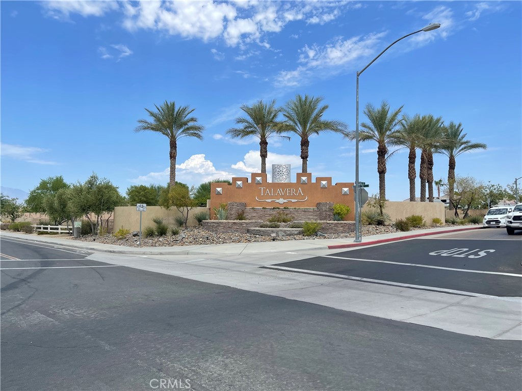 a palm tree on the side of the road