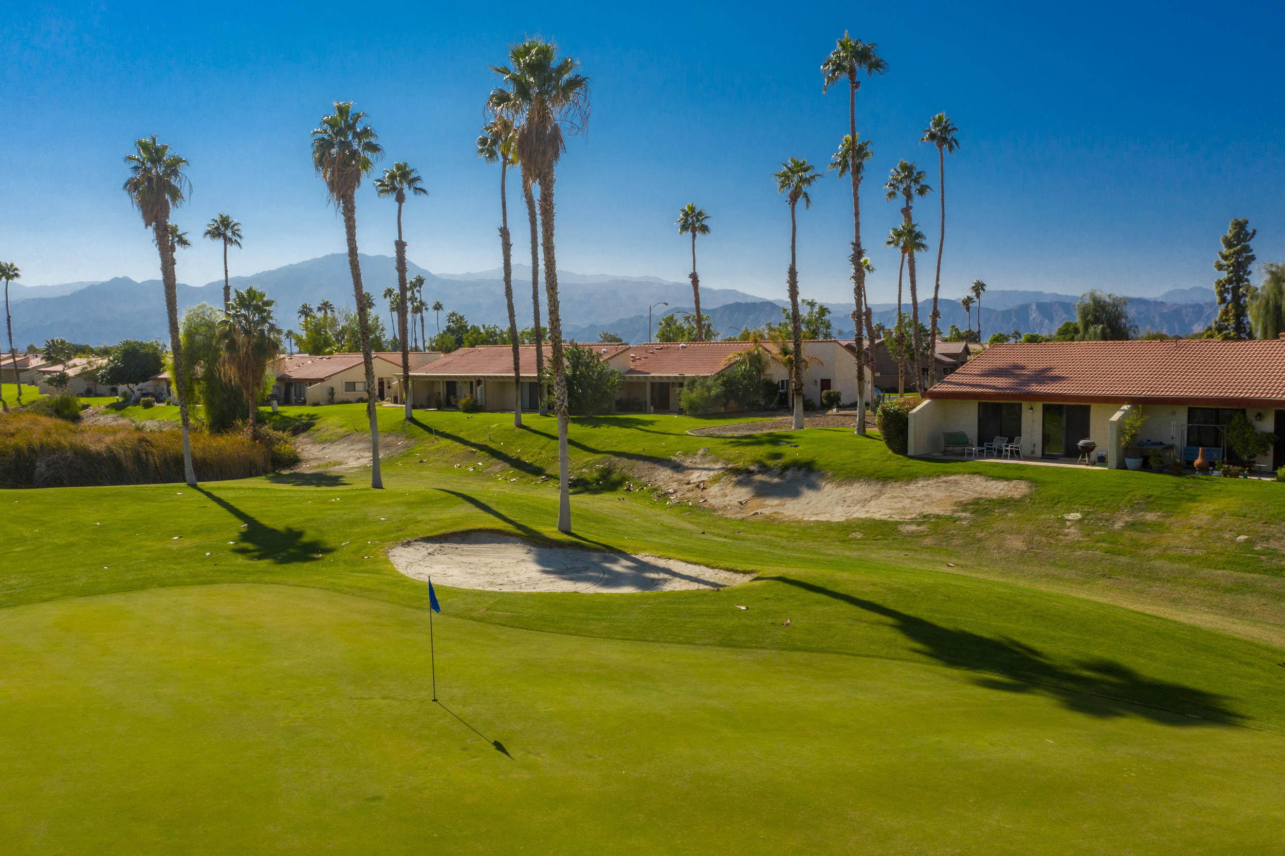 a view of a garden with palm trees