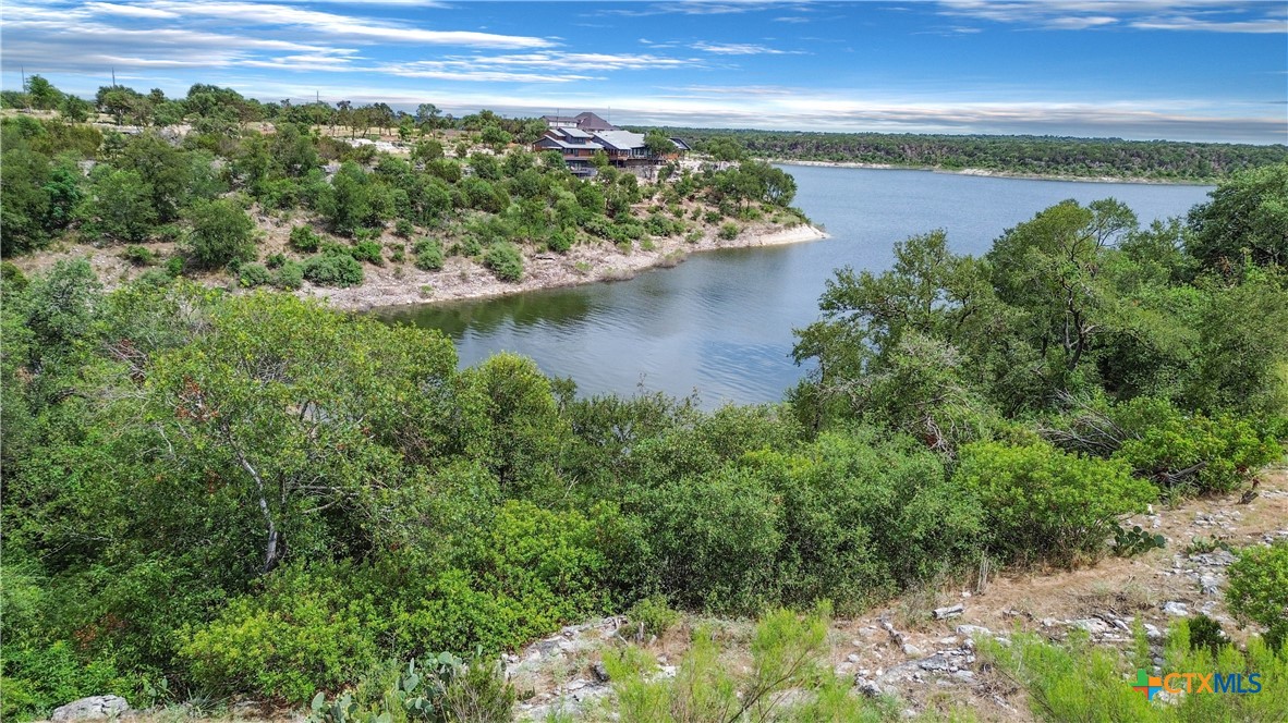 a view of a lake with a city