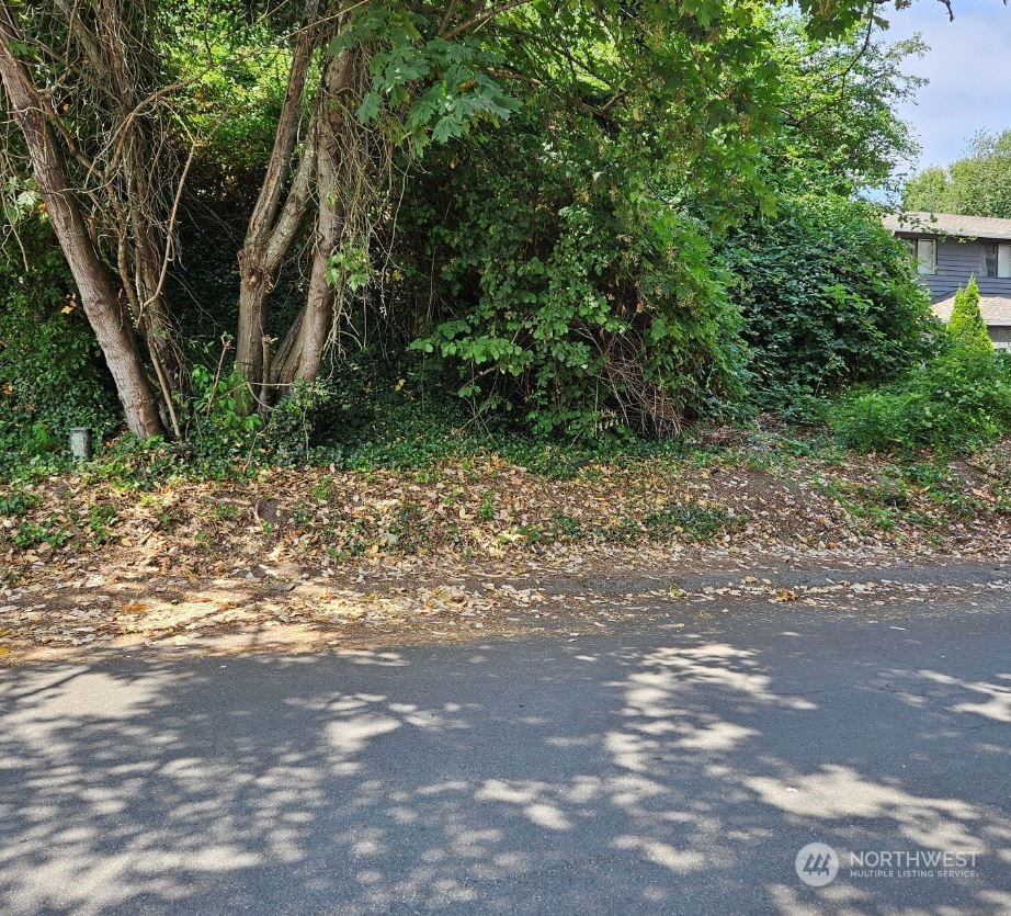 a view of a yard with plants and trees