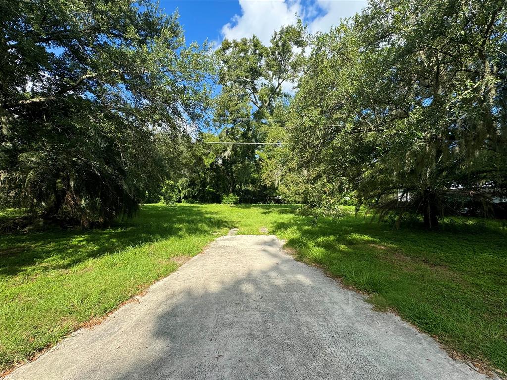 a view of a park with large trees