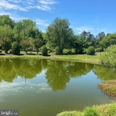 a view of a lake from a yard