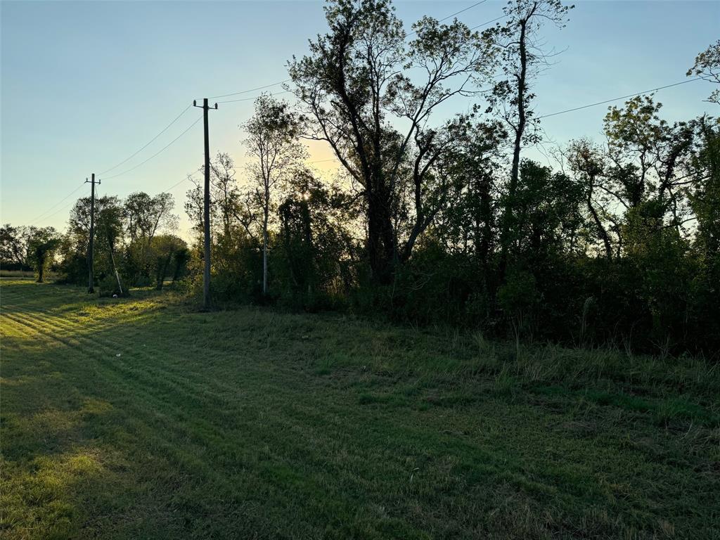 a view of a grassy field