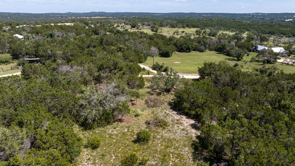 a view of a forest with an trees