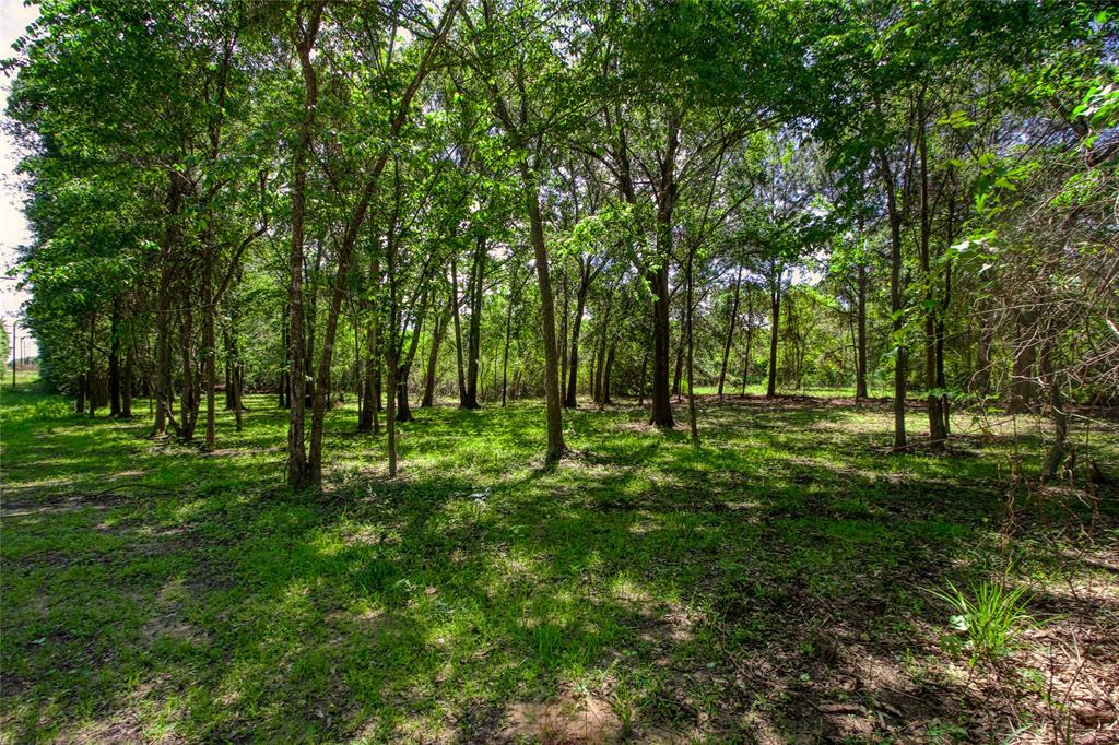 a view of park with trees