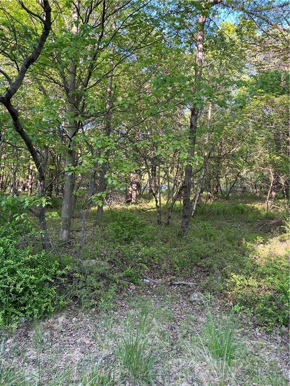 a big yard with lots of green space and deers