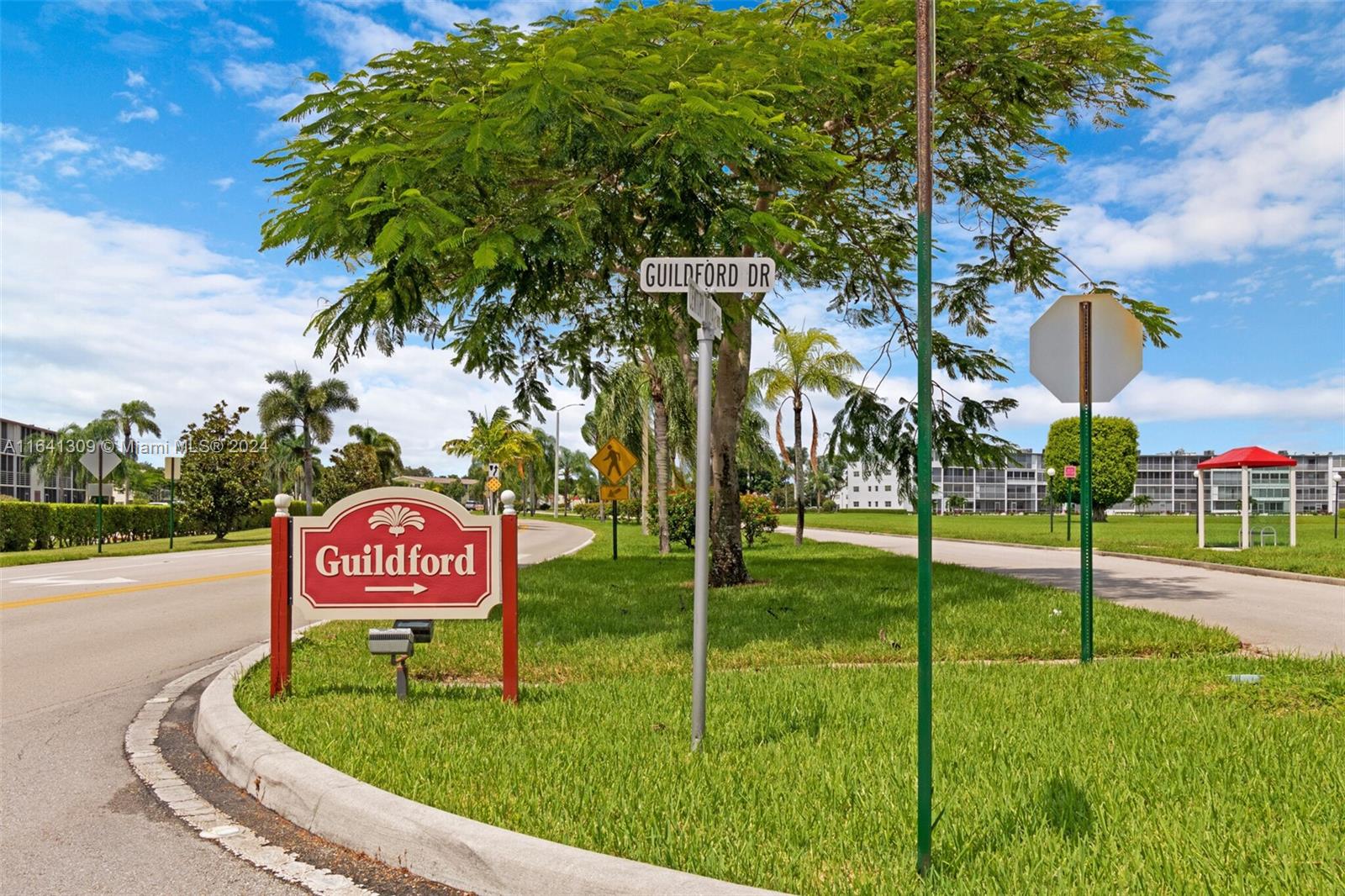 a view of a park with entertaining space