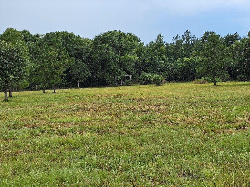 a view of outdoor space with trees all around