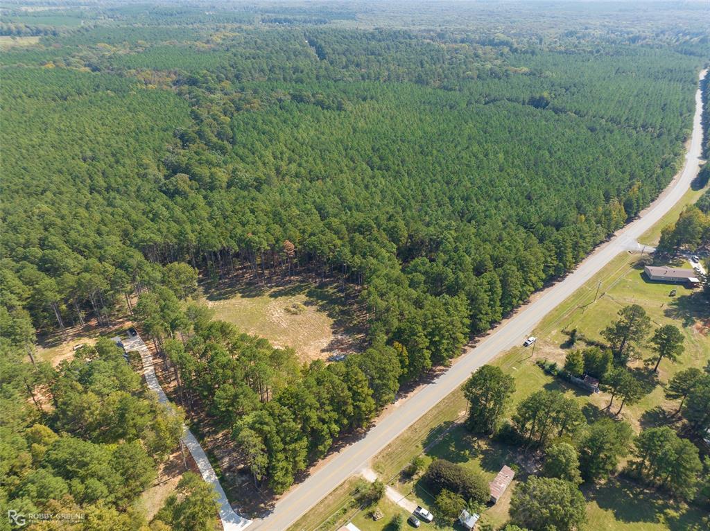 a view of a forest with a street